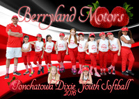 BERRYLAND MOTORS