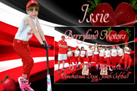 issie lamonte memory mate