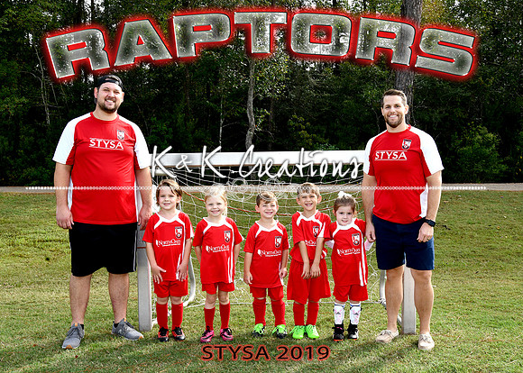 5X7 RAPTORS MATT EMMONS TEAM