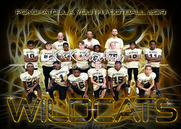 5X7 WILDCATS TEAM 2019