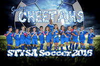 sppeding cheetahs team_final