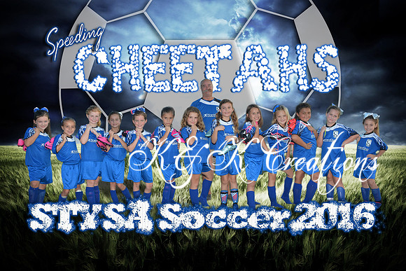 sppeding cheetahs team_final