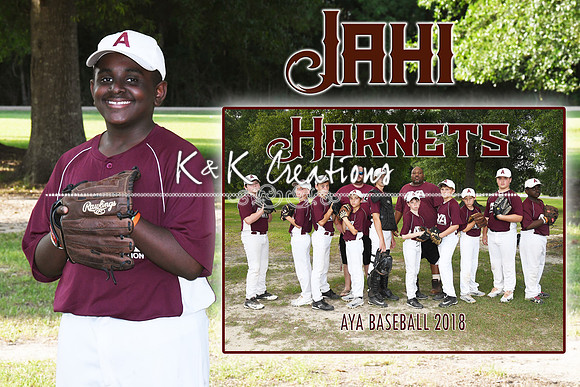 JAHI MEMORY MATE