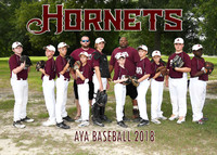 5x7 13-14 boys aya hornets team
