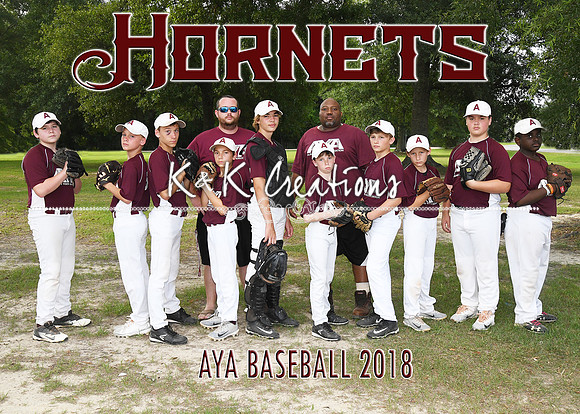 5x7 13-14 boys aya hornets team