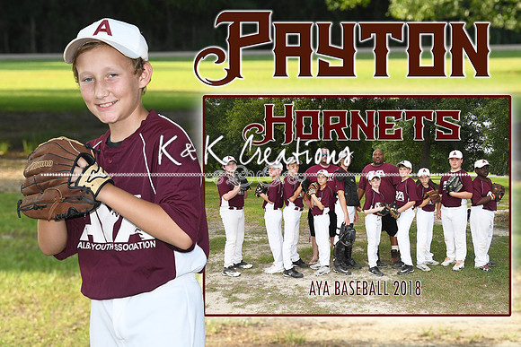 PAYTON MEMORY MATE