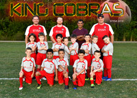 7U - 8U BOYS- MC-LINTON KING COBRAS