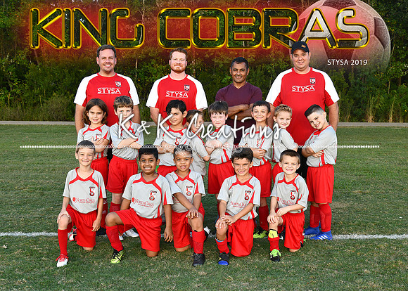 5X7 7UBOYS LITTON KING COBRAS TEAM