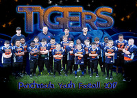 Tigers - Junior Conference