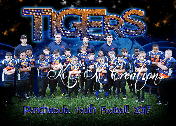 5x7 TIGERS FOOTBALL TEAM