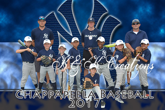 yankees team