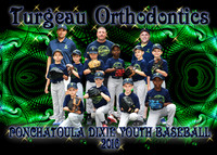 TURGEAU ORTHODONTICS