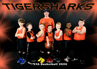 5X7 7-8 TIGERSHARKS TEAM