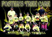 Tball Fosters Tree Care