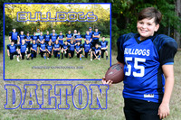 DALTON FURCA MEMORY MATE