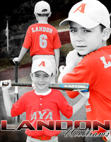 landon_williams_collage