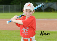 mason_viola_1