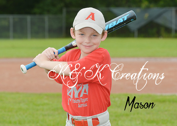 mason_viola_1