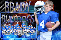 BRADY PIERCE MEMORY MATE