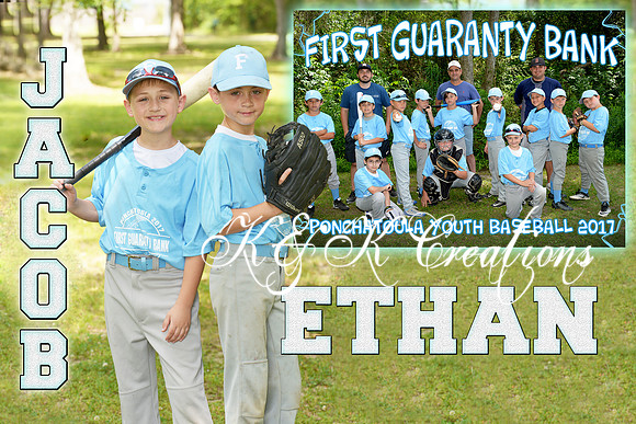ETHAN AND JACOB LAURENT MEMORY MATE