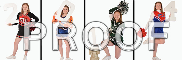 Kailie Robbins Wiht LinesCollage