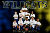 8x12 wildcats team aabba