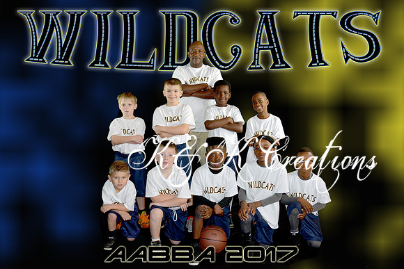 8x12 wildcats team aabba