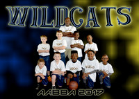 WILDCATS