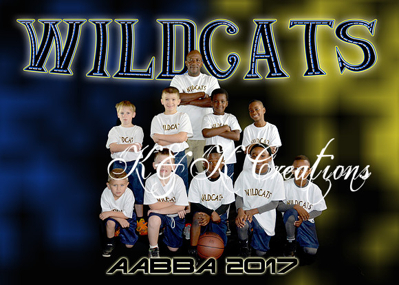 5x7 wildcats team aabba