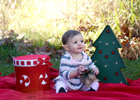 Brynlyn