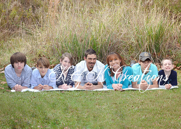 KRS_1233_1