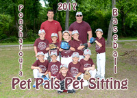 6CP Pet Pals Pet Sitting