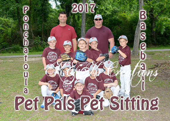 pet pals pet sitting team