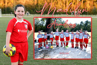 madilyn felder memory mate