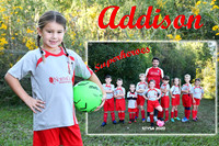 addison taylor memory mate