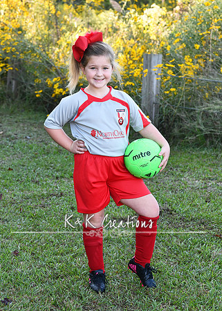 landrie mclin_2433
