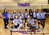 5X7 varisty yearbook only