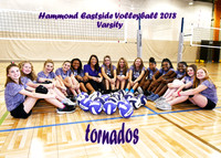 5x7 Eastside Varisty Volleyball  yearbook