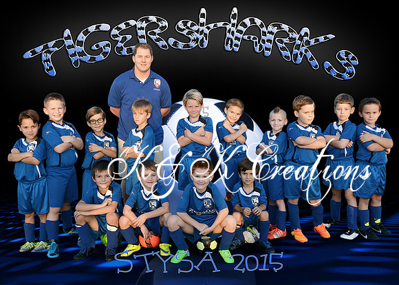 5X7 TIGERSHARKS TEAM