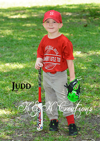 JUDD HARRIS JR_KRS3728