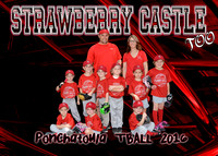 STRAWBERRY CASTLE TOO
