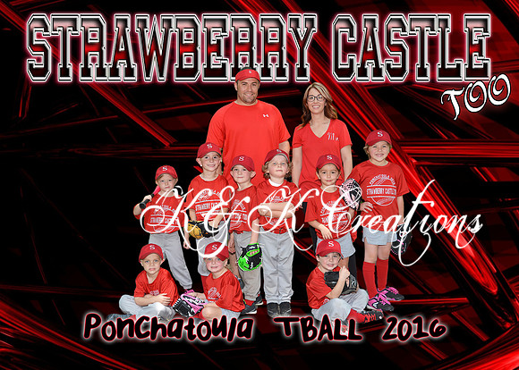 5x7 STRAWBERRY CASTLE TOO TBALL TEAM