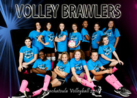 Volley Brawlers