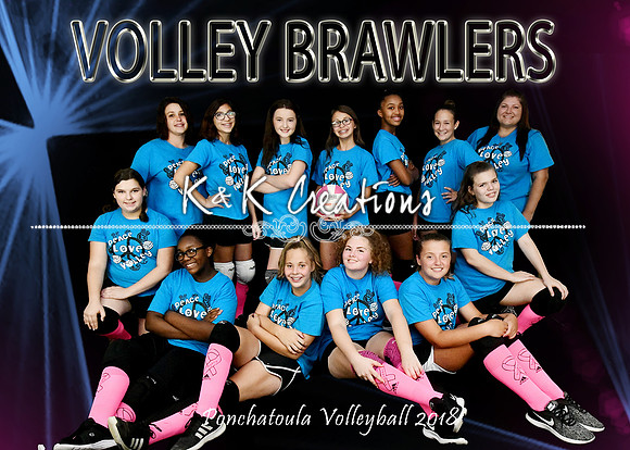 5X7 VOLLEY BRAWLERS TEAM