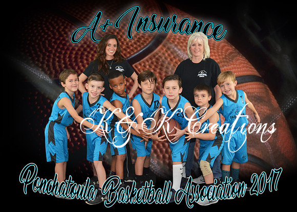 5x7 7-8B A+ INSURANCE TEAM