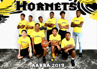 5x7 HORNETS AABBA TEAM
