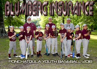 5x7 9-10b BLUMBERG INSURANCE TEAM