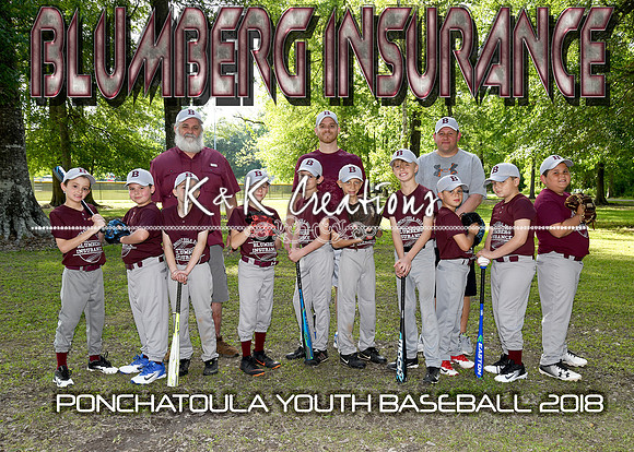 5x7 9-10b BLUMBERG INSURANCE TEAM