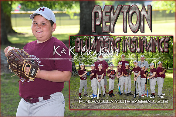 PEYTON MAYER MEMORY MATE