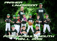 p layrisson tball